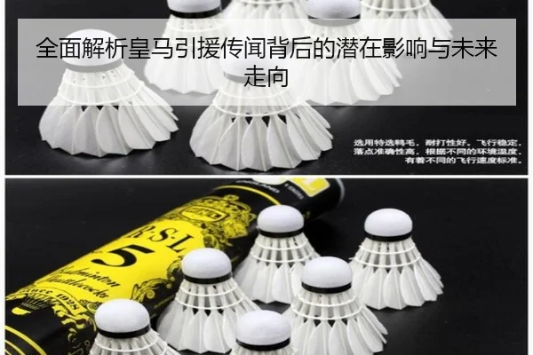 全面解析皇马引援传闻背后的潜在影响与未来走向