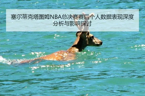 塞尔蒂克塔图姆NBA总决赛赛后个人数据表现深度分析与影响探讨